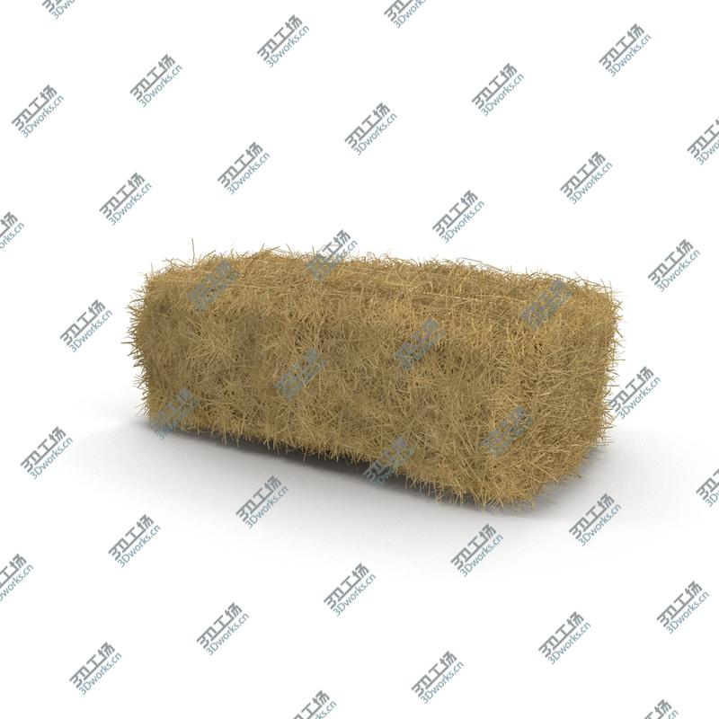 images/goods_img/2021040162/Hay Bale/3.jpg